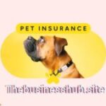 Pet Insurance