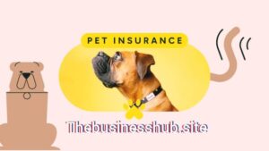 Pet Insurance coverage Best Info By Businesshub 2025